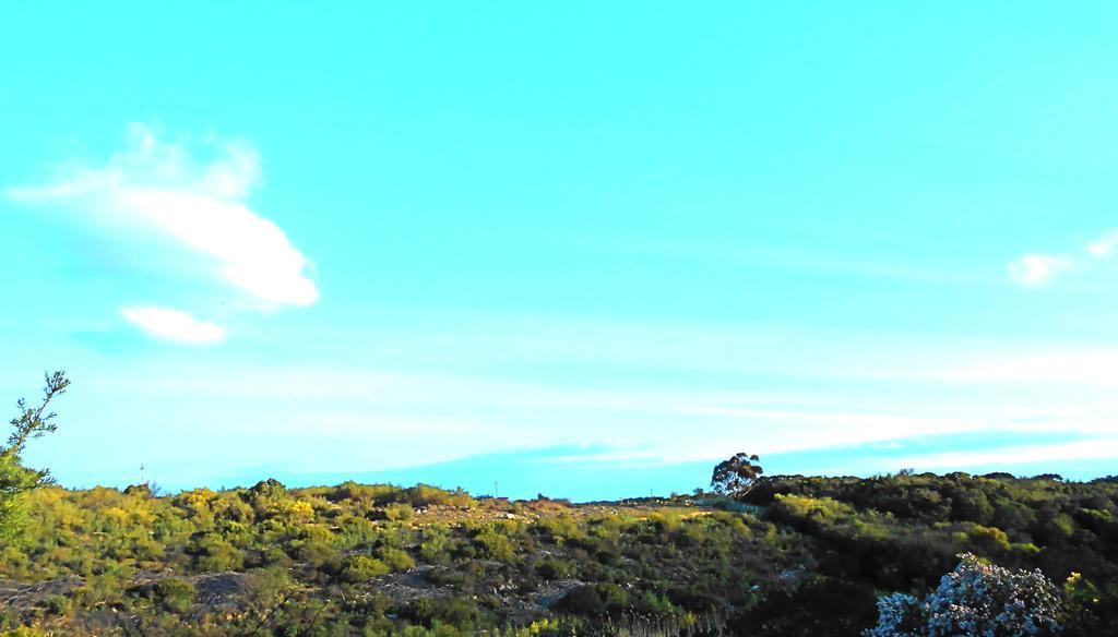 Onrus River Cottage Hermanus Dış mekan fotoğraf