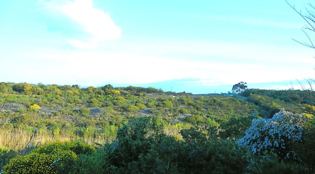 Onrus River Cottage Hermanus Dış mekan fotoğraf